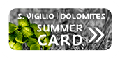 Logo Summercard